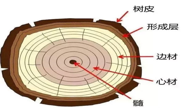 全屋定制家具系列中：實(shí)木家具該如何選擇?